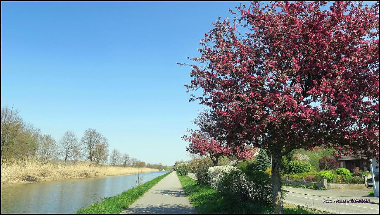 Villa Bonheur Illfurth Alsace 4 Chambres Luaran gambar